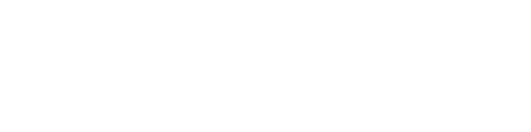 Logo Dra. Verónica Zurvarra Endocrinóloga